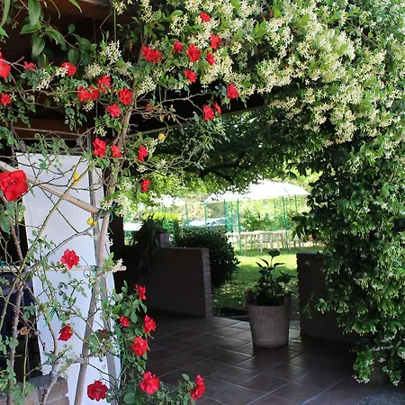 Da Elio Ξενοδοχείο Piegaro (Umbria)