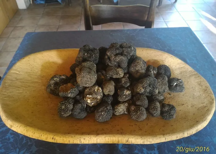 Da Elio Ξενοδοχείο 3*