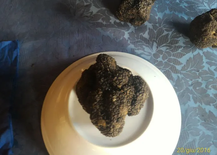 Da Elio Ξενοδοχείο 3*